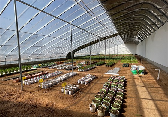 快活林實驗田 (3)