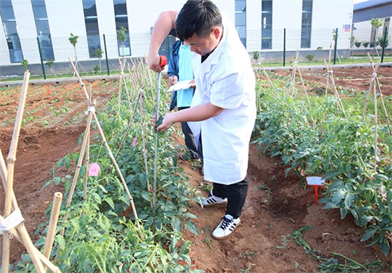 快活林實驗田 (6)