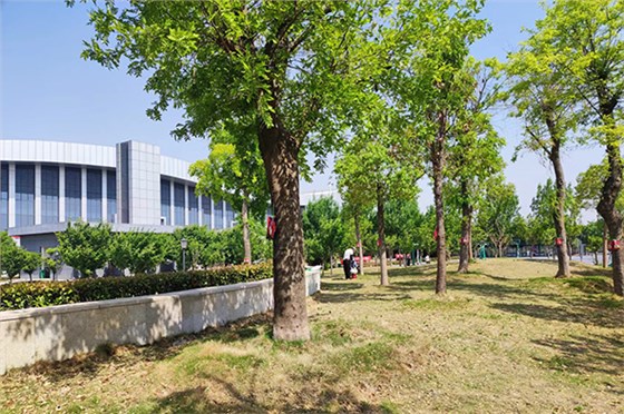 吊針液公園復(fù)壯3