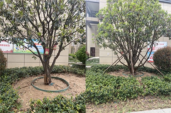 吊針液對(duì)比6