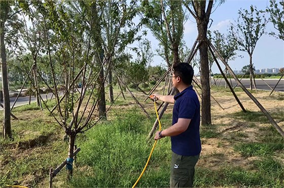 現(xiàn)場(chǎng)指導(dǎo)4