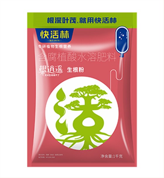 根逍遙1千克詳情圖