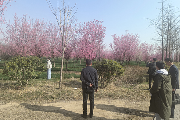 20230308河南一電力公司苗圃指導(dǎo)-11