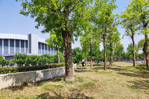 吊針液公園復壯3