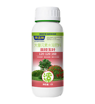 金枝玉葉產(chǎn)品詳情圖