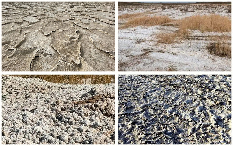 克堿機密案例見證