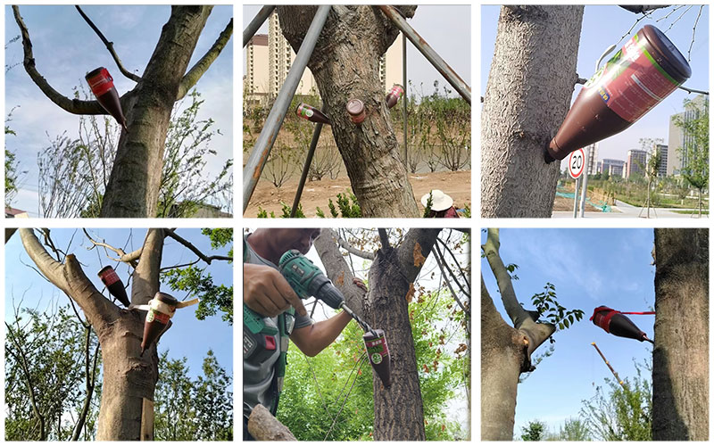 萌芽素案例見證