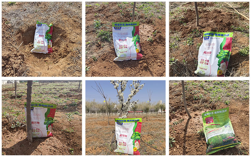 潤(rùn)萬(wàn)物案例見(jiàn)證格子